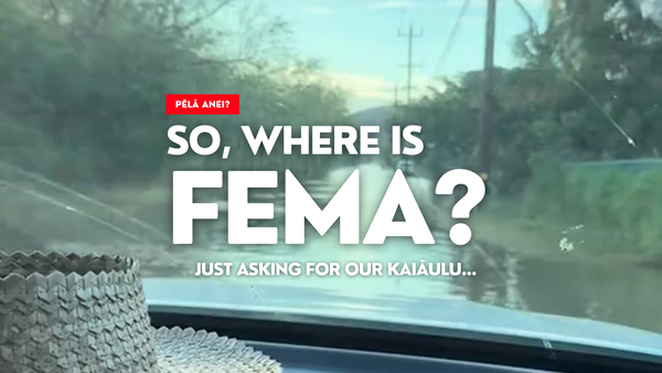 Disaster, Recover, Resilience:  How Do I Prepare for FEMA?